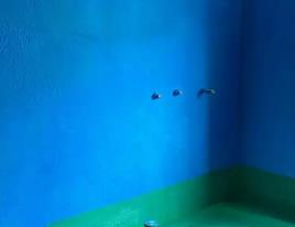 青县卫生间测漏水多少钱